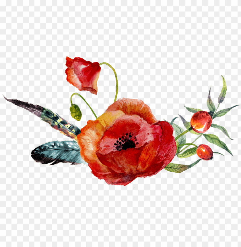 Flower Clipart Watercolor Painting Poppy Drawing Watercolour - Poppy Flower Watercolor PNG Image With Transparent Background