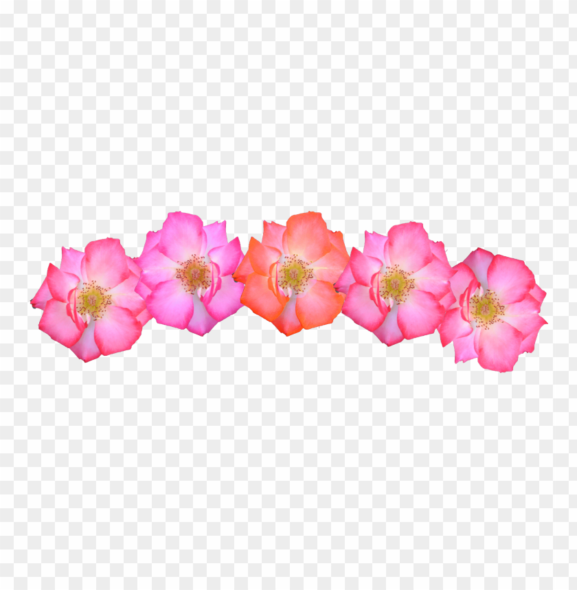 flower crown transparent, transparent,transpar,crown,flowercrown,flower