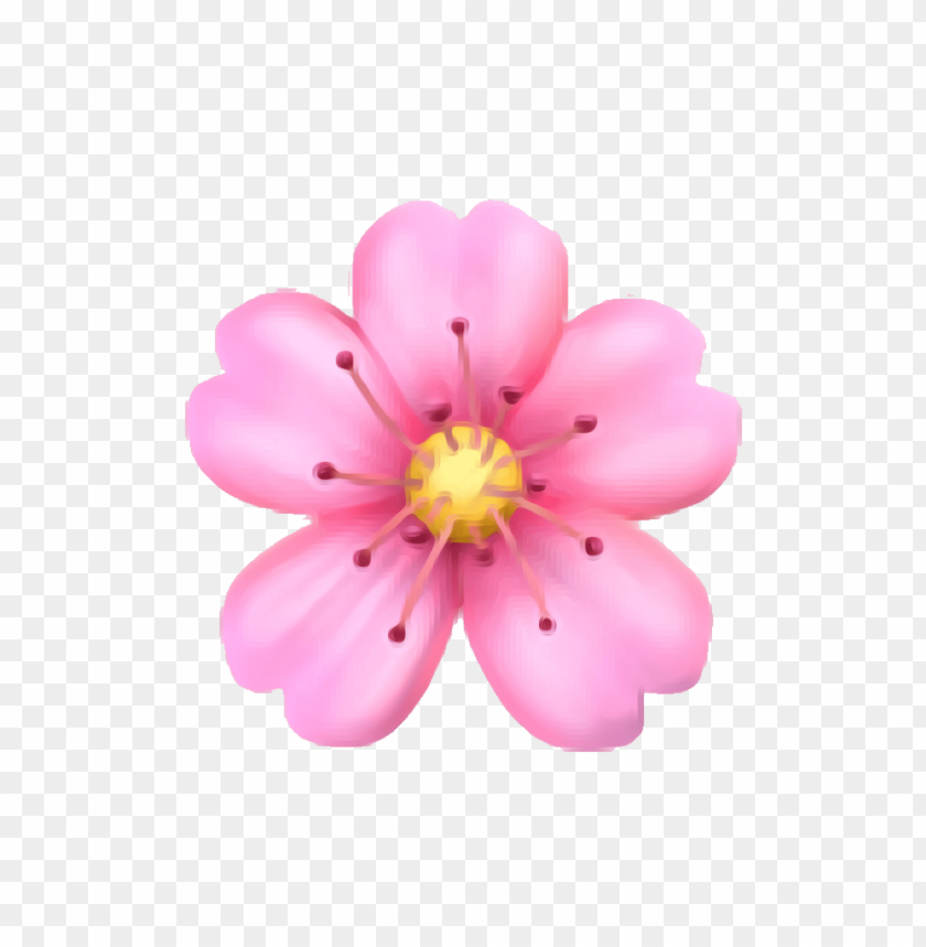 flower emoji transparent, flower,transparent,emoji,transpar