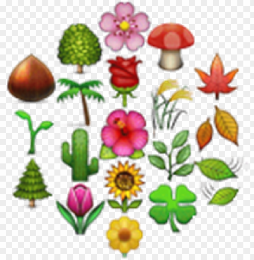 flower emojis PNG transparent with Clear Background ID 81235