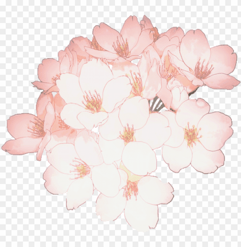 Flower Flowers Sakura Cherryblossom Tumblr Kawaii Ftest Sakura Flower Png Kawaii Png Image With Transparent Background Toppng