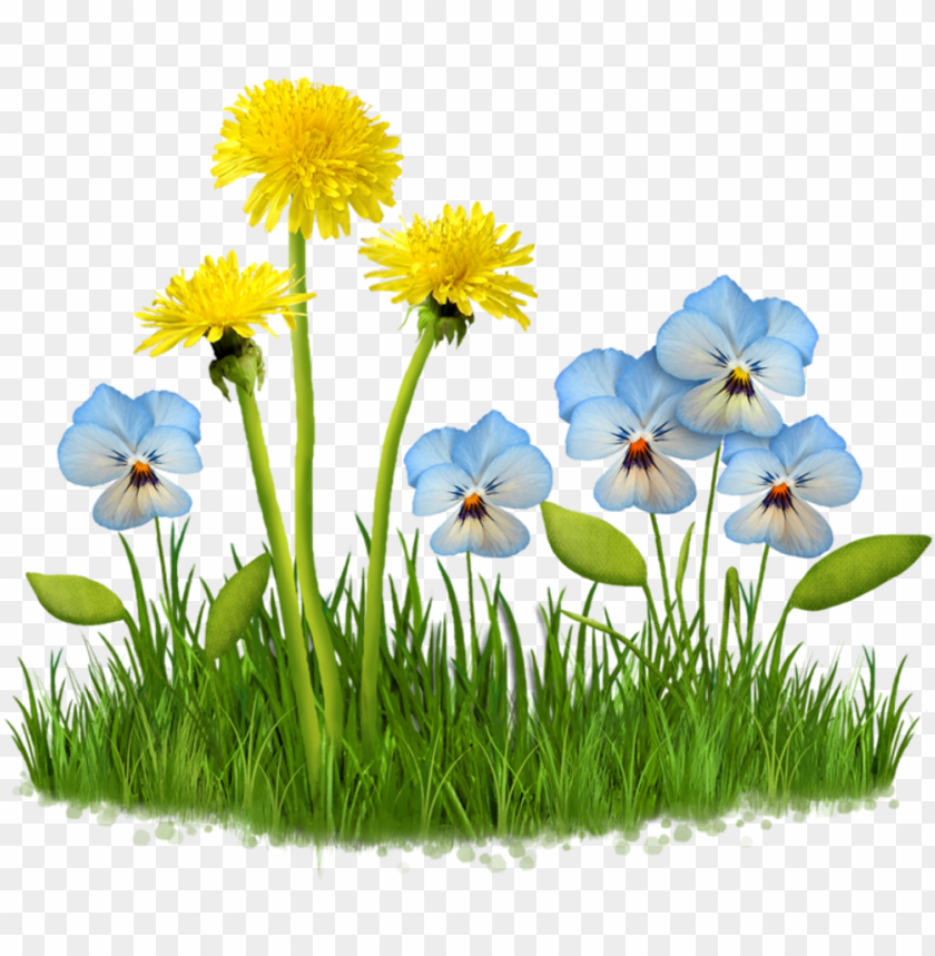 flower #garden #plant #nature #grass #field #lawn - fleur des champs PNG  image with transparent background | TOPpng