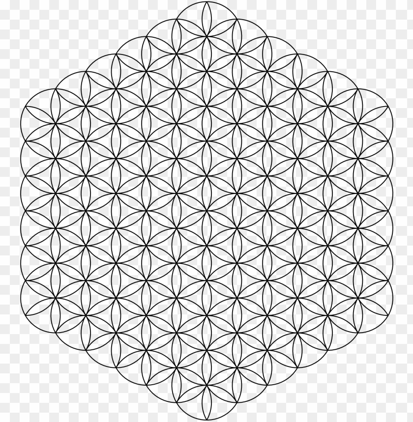 Flower Of Life PNG Image With Transparent Background | TOPpng