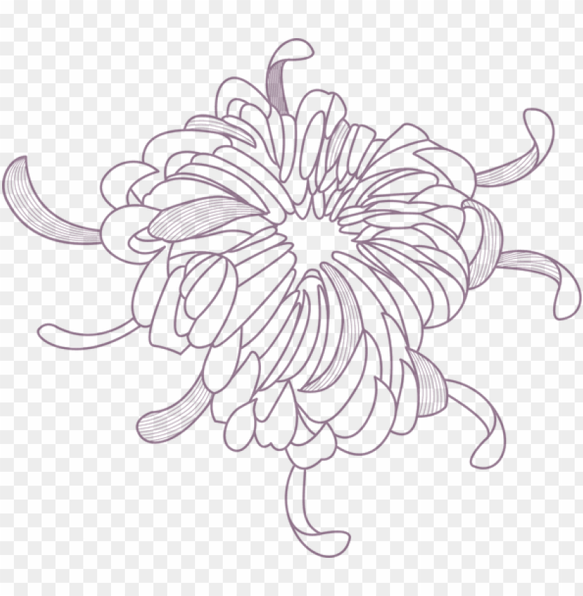 Flower Outline Flower PNG Image With Transparent Background
