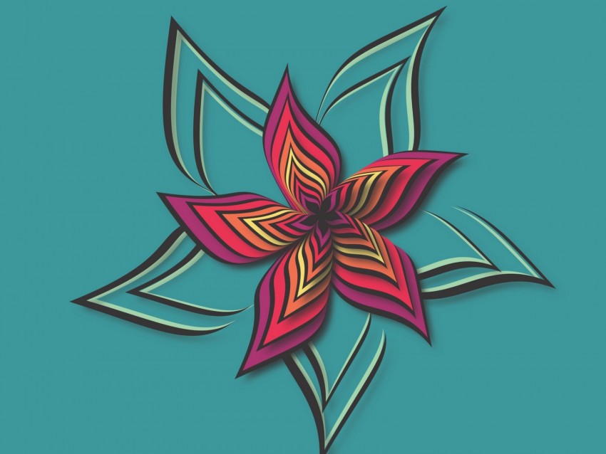 flower, patterns, vector, colorful