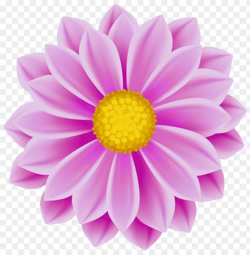 flower pink png