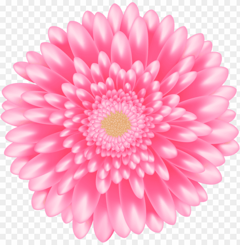 PNG image of flower pink transparent with a clear background - Image ID 44796