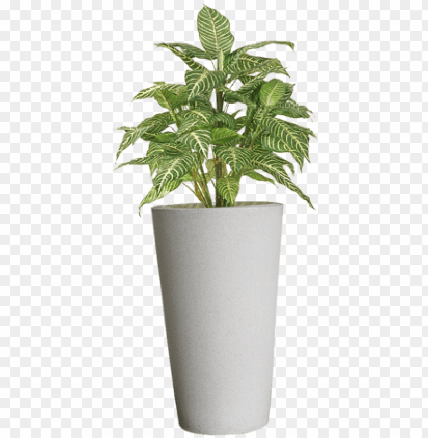 flower pots png png stock - plant in pot PNG image with transparent background@toppng.com