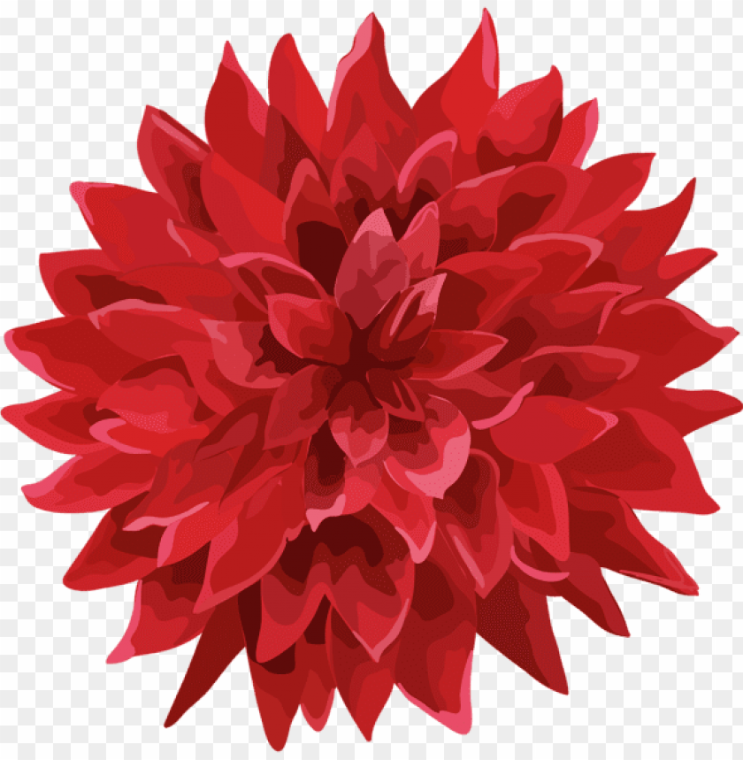 flower red png