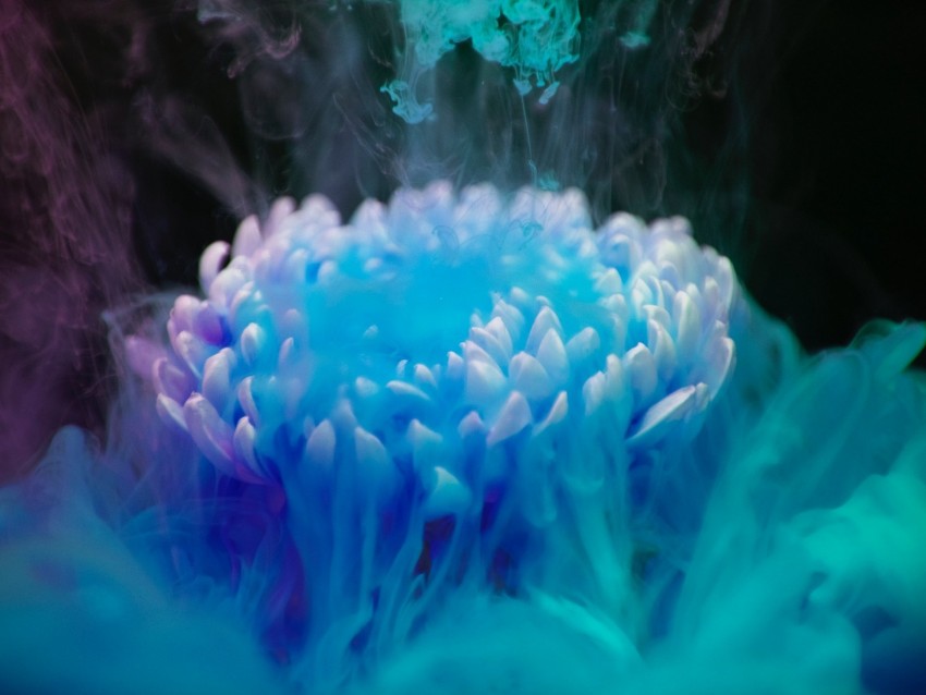 flower, smoke, paint, blue, shroud