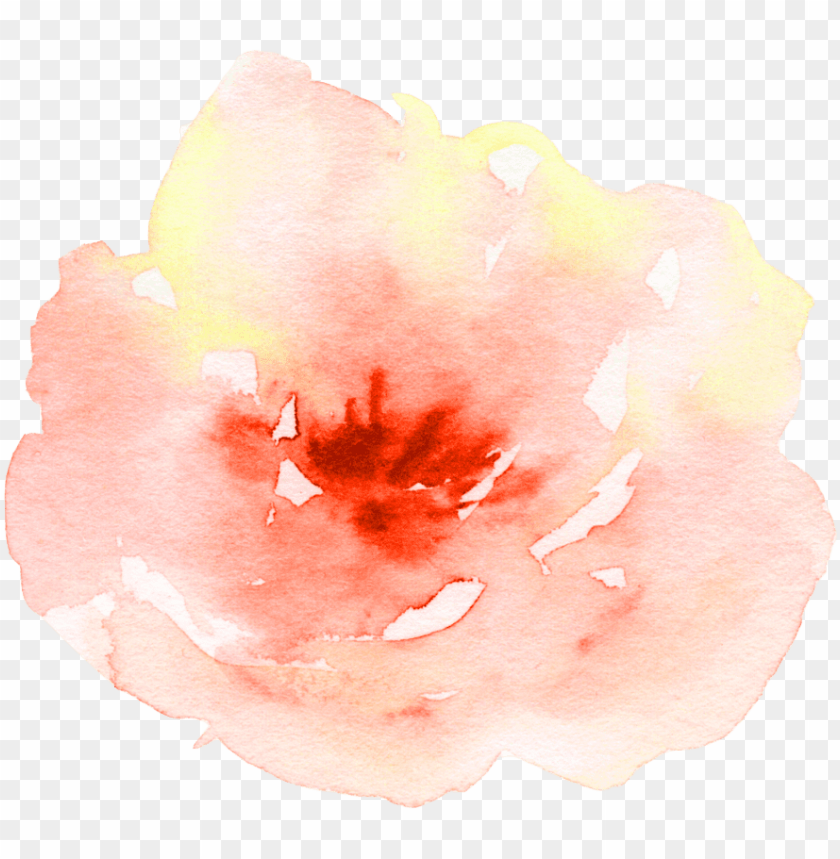 Flower Watercolor Watercolour Peach Ae Thetic Pretty - Watercolor Painti PNG Image With Transparent Background