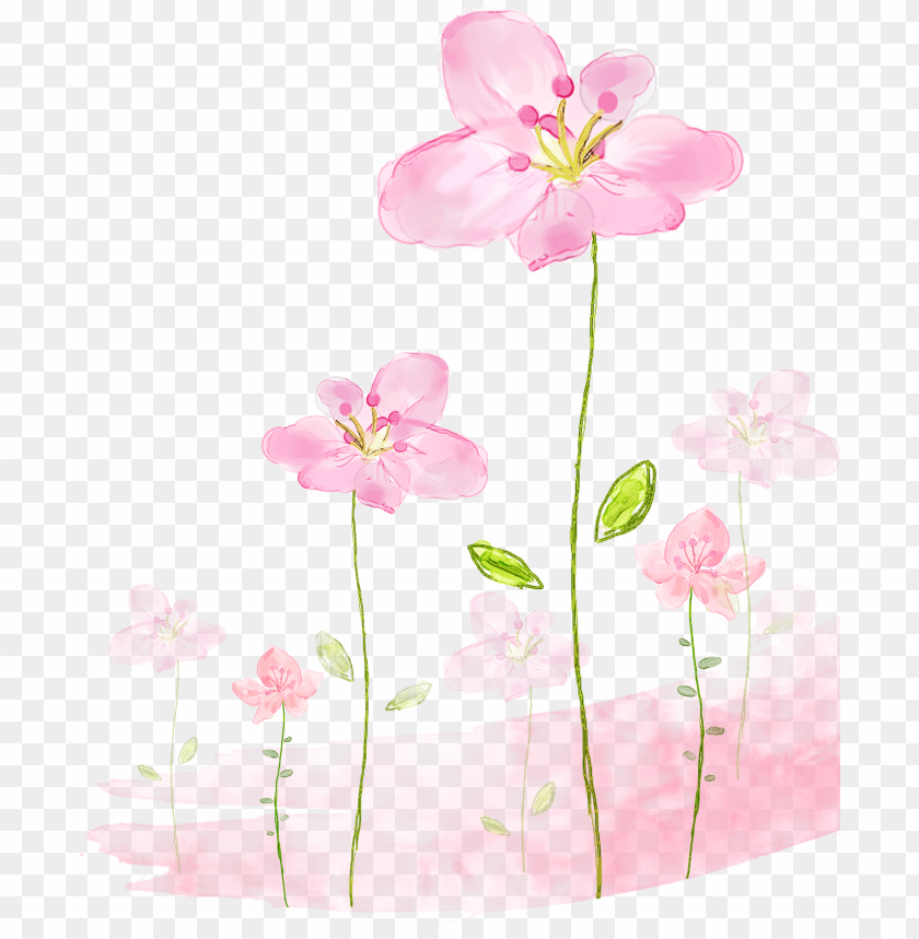 flowers background png - watercolor pink flower background PNG image with transparent background@toppng.com
