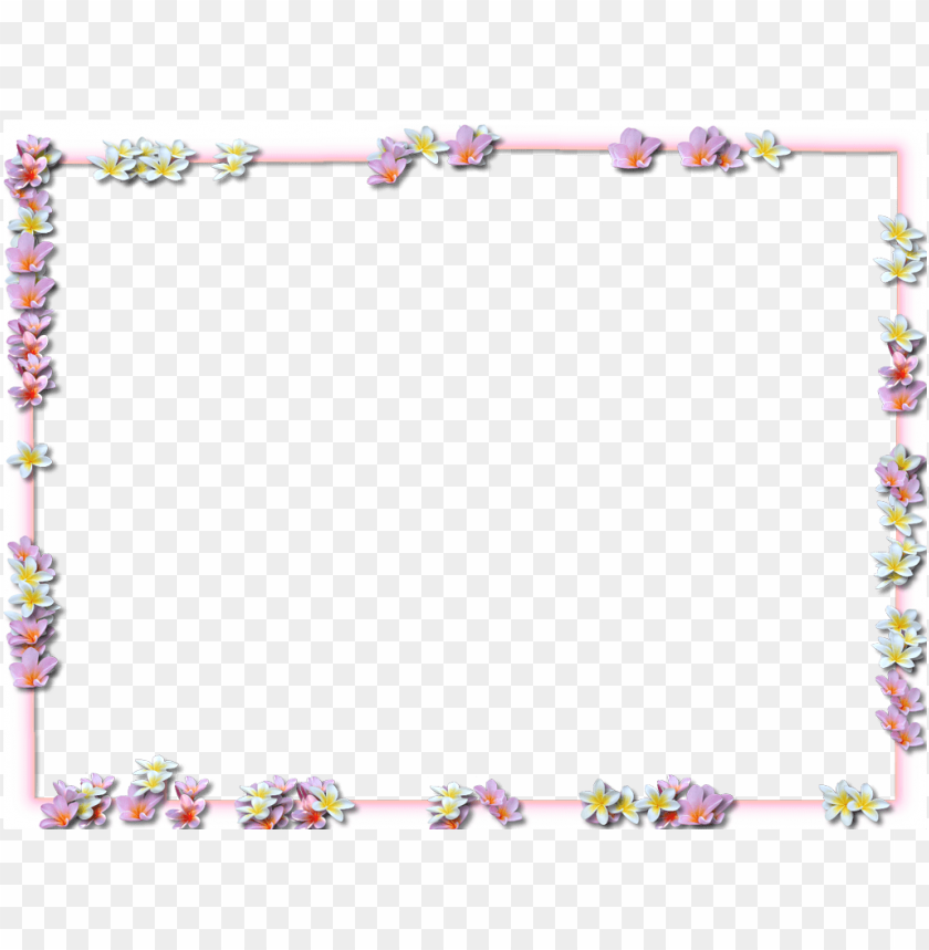 flowers borders png pic png - Free PNG Images ID 8861