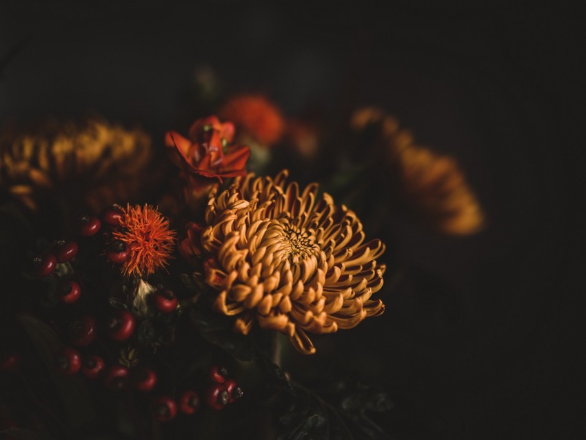 flowers, bouquet, composition, dark