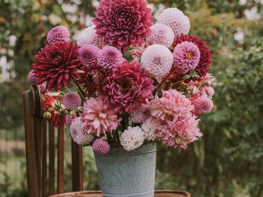 flowers, bouquet, pink, composition, pot, chair