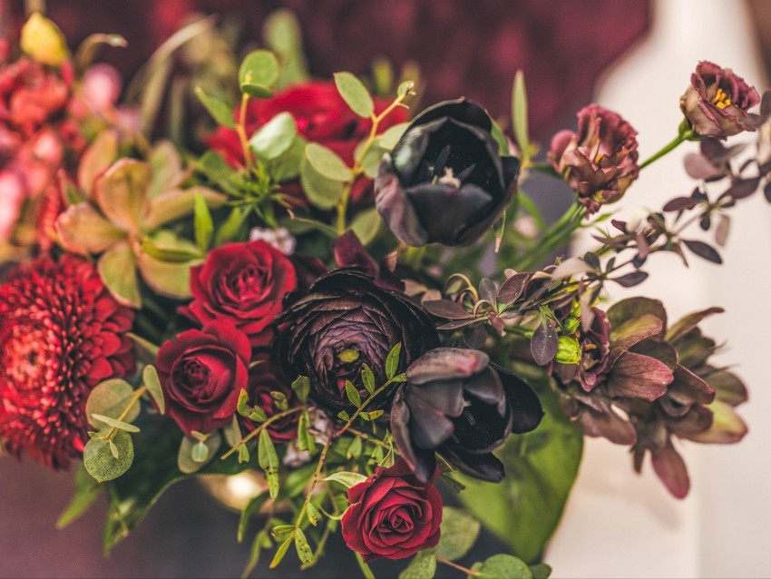 flowers, bouquet, roses, tulips, red, black