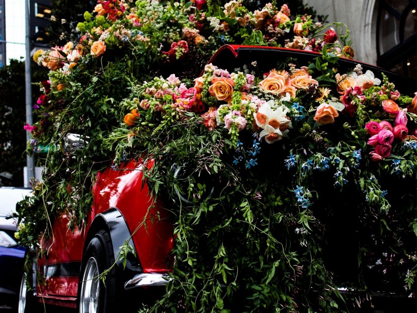 flowers, car, bouquets