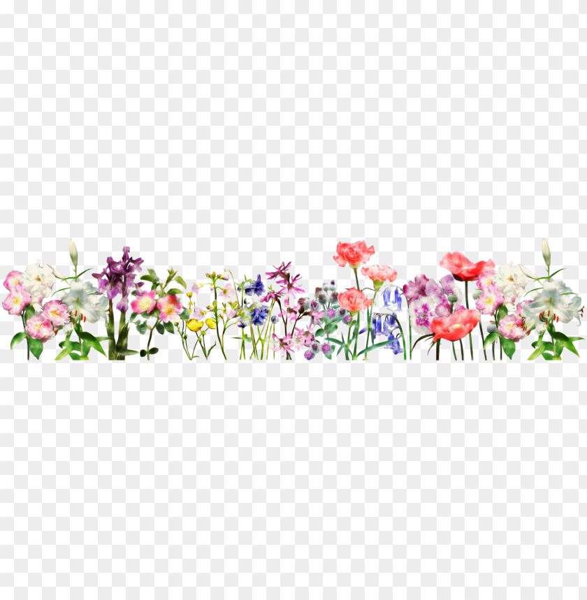 flowers for a banner group image free download - guide to mr. shakespeare's  flowres PNG image with transparent background | TOPpng