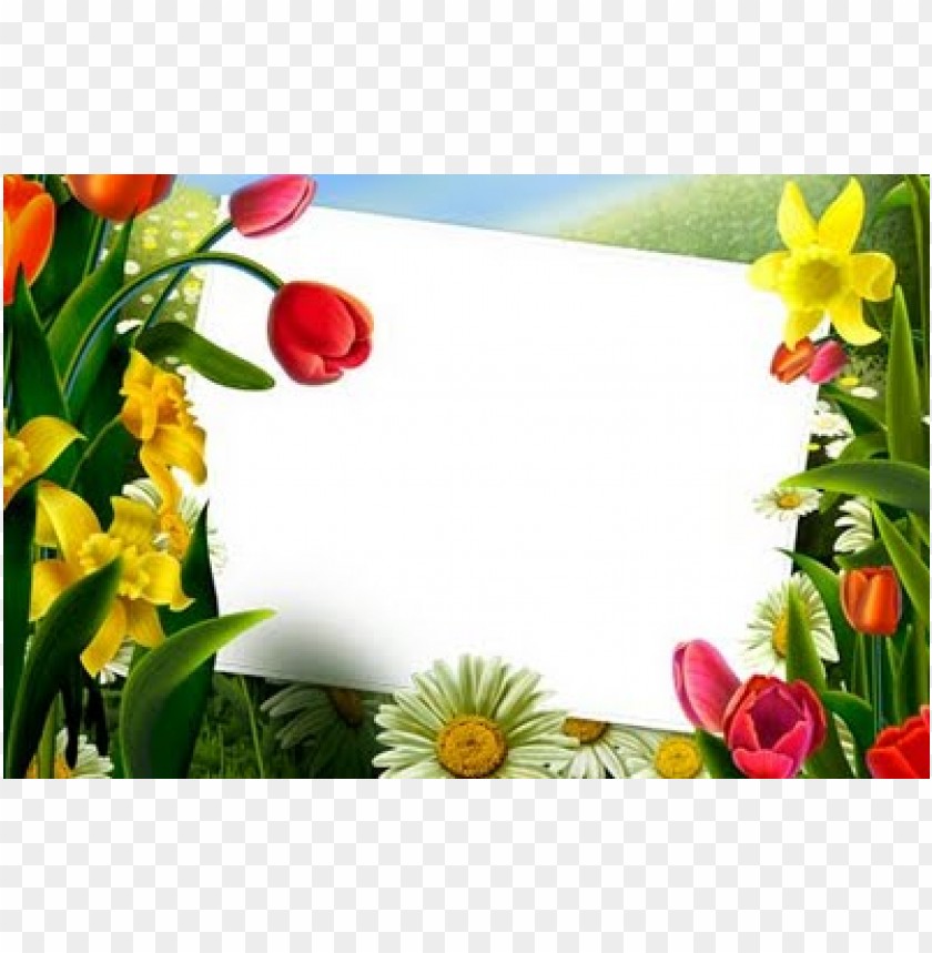 flowers frame background best stock photos | TOPpng
