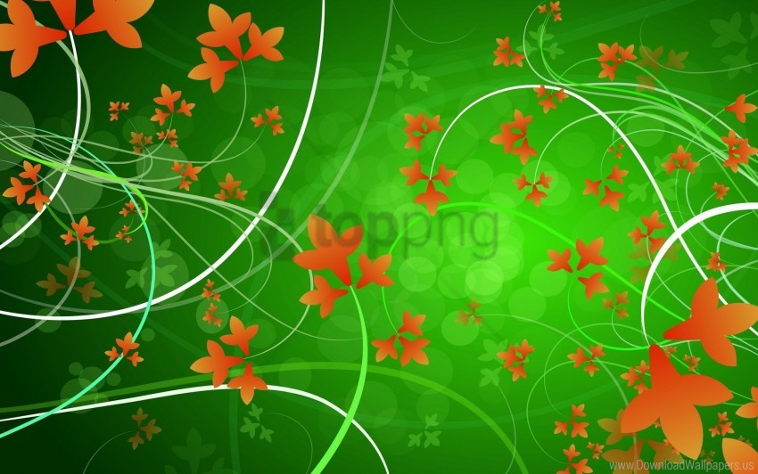 flowers, green, leaves, orange, patterns wallpaper background best stock  photos | TOPpng