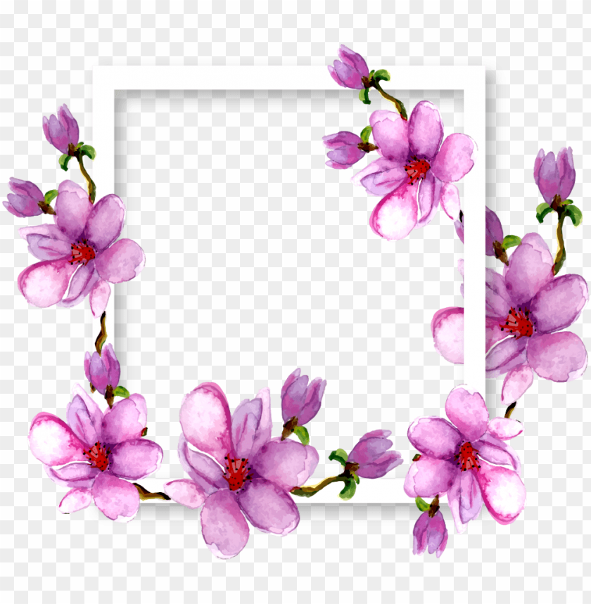 flowers magnolia border frame watercolor purple ftestic transparent watercolor flower purple png - Free PNG Images ID 129099