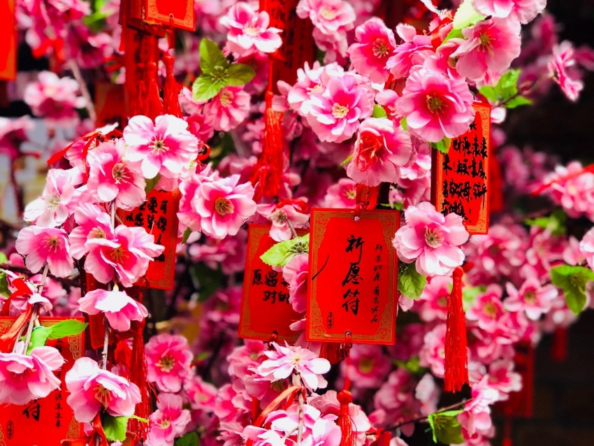 flowers, pink, branches, labels