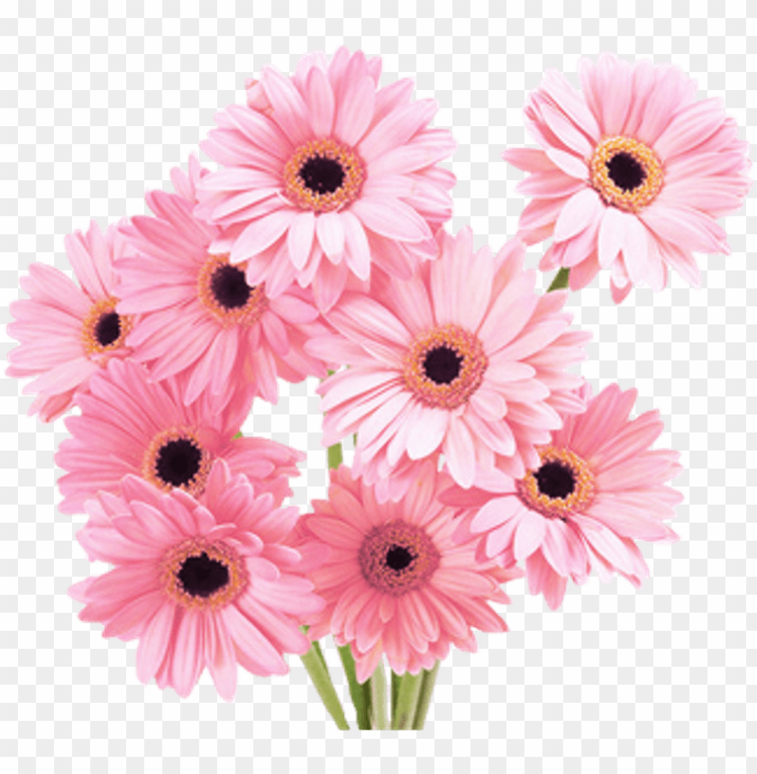 flowers pink tumblr vaporwave aesthetic clip freeuse - vaporwave flower aesthetic PNG image with transparent background@toppng.com