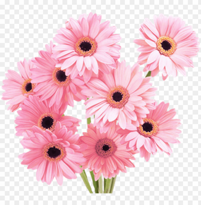 Flowers Pink Tumblr Vaporwave Aesthetic Clip Freeuse Vaporwave