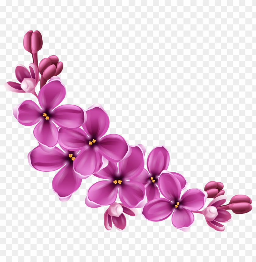 PNG image of flowers with a clear background - Image ID 9226