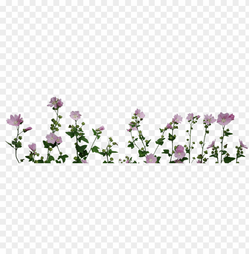 flower, flower frame, ampersand, frame, flowers, flower border, repair