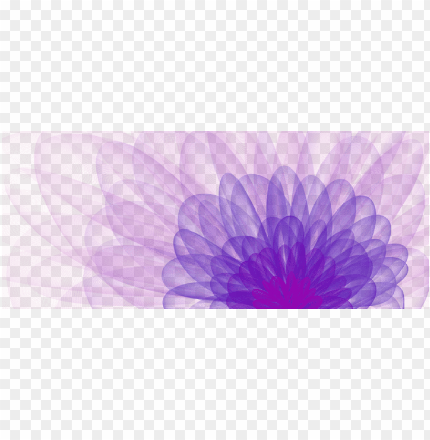 flower, elegant, pattern, element, floral, purple flowers, wallpaper