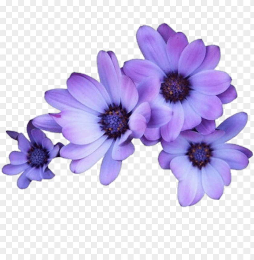 free PNG flowers purple tumblr overlays editingneeds foredit - transparent purple flowers PNG image with transparent background PNG images transparent