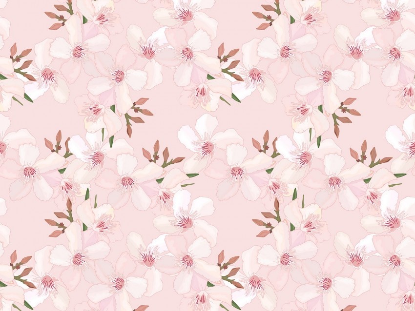 flowers, sakura, pattern, cherry, pink, tender, spring