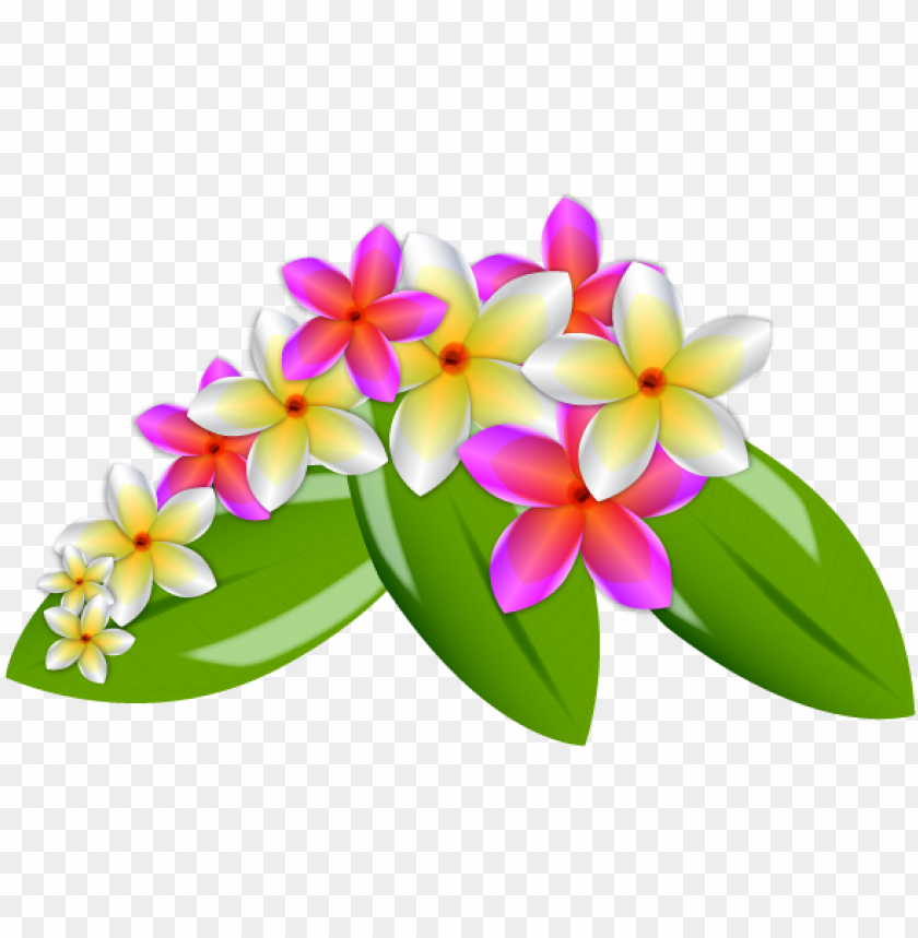 flower, banner, tree, logo, hawaii, vector design, flower frame