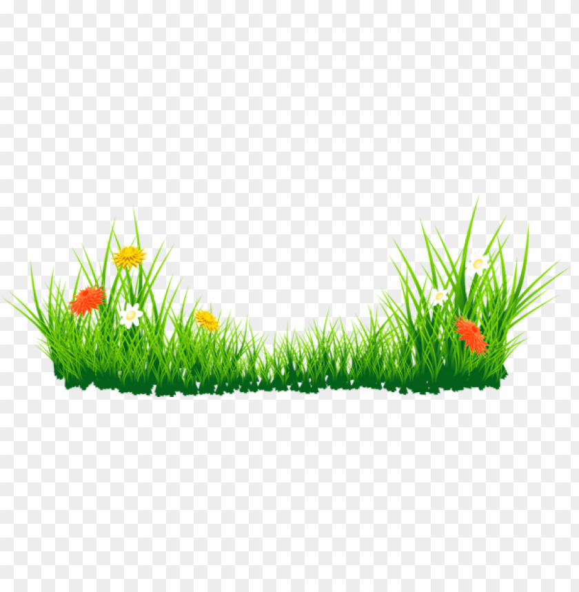 grass ,grounds ,coverings ,herb , grass , weed , pasture 