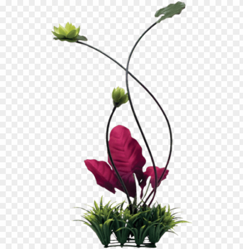 Fluval Chi Lily Pad And Plant Grass Ornament Png Image With Transparent Background Toppng