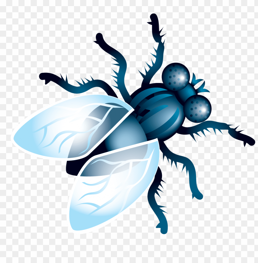 Download Fly Clipart Png Photo Toppng