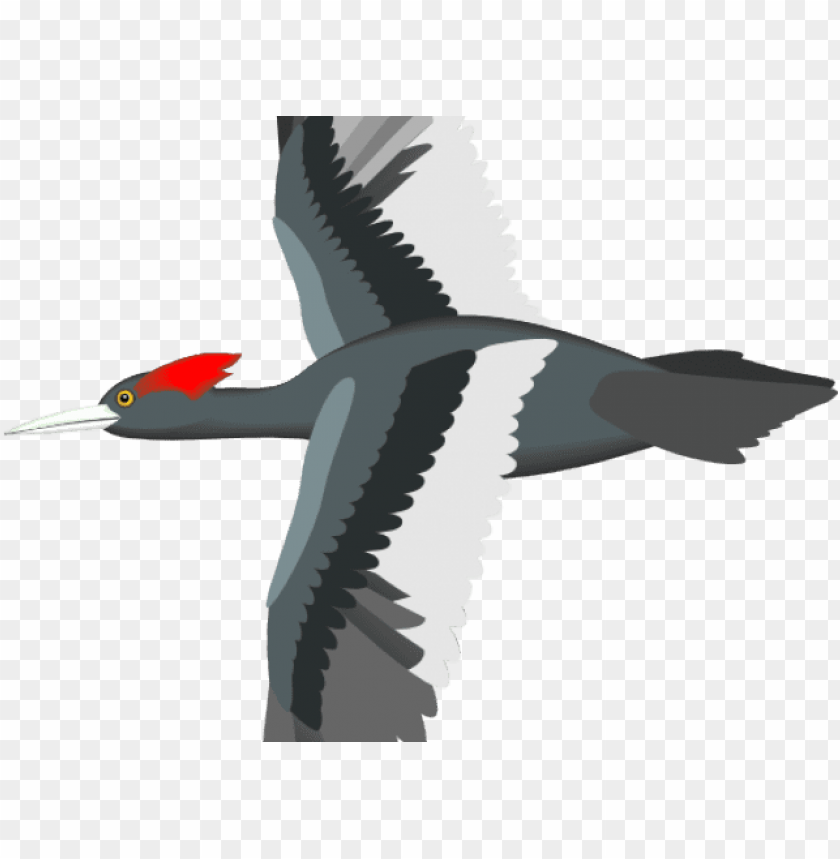 flying bird animated PNG image with transparent background | TOPpng