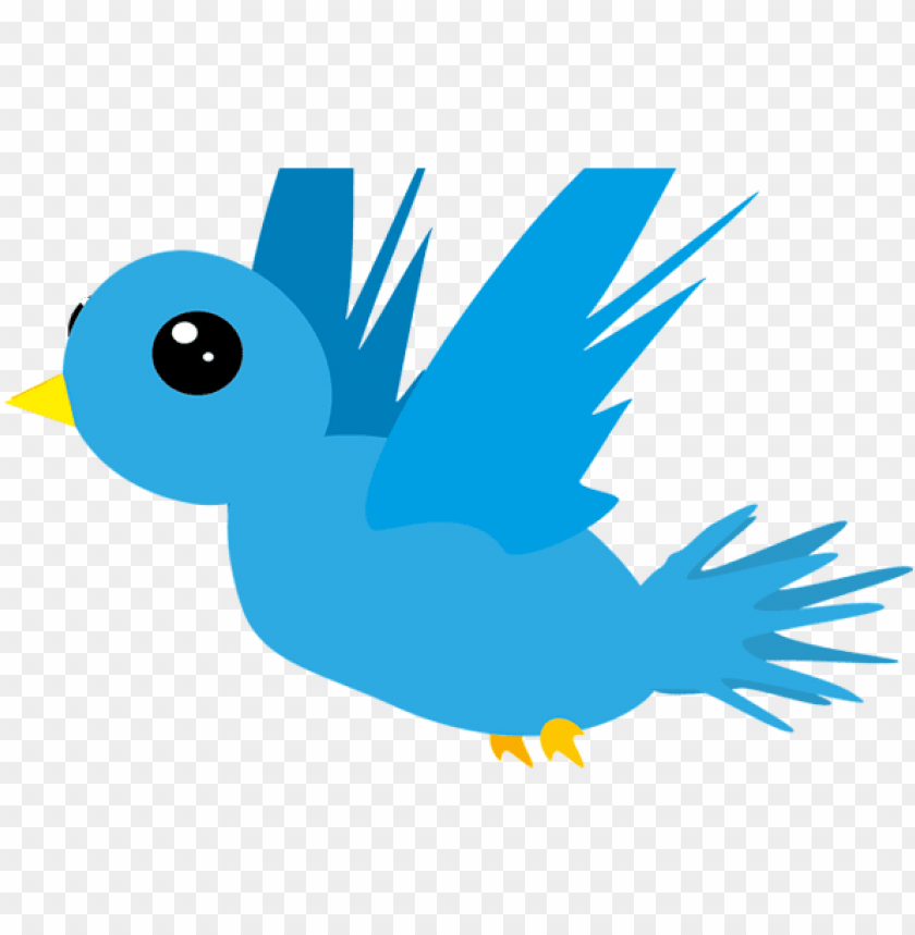 flying bird cartoon transparent PNG image with transparent background |  TOPpng
