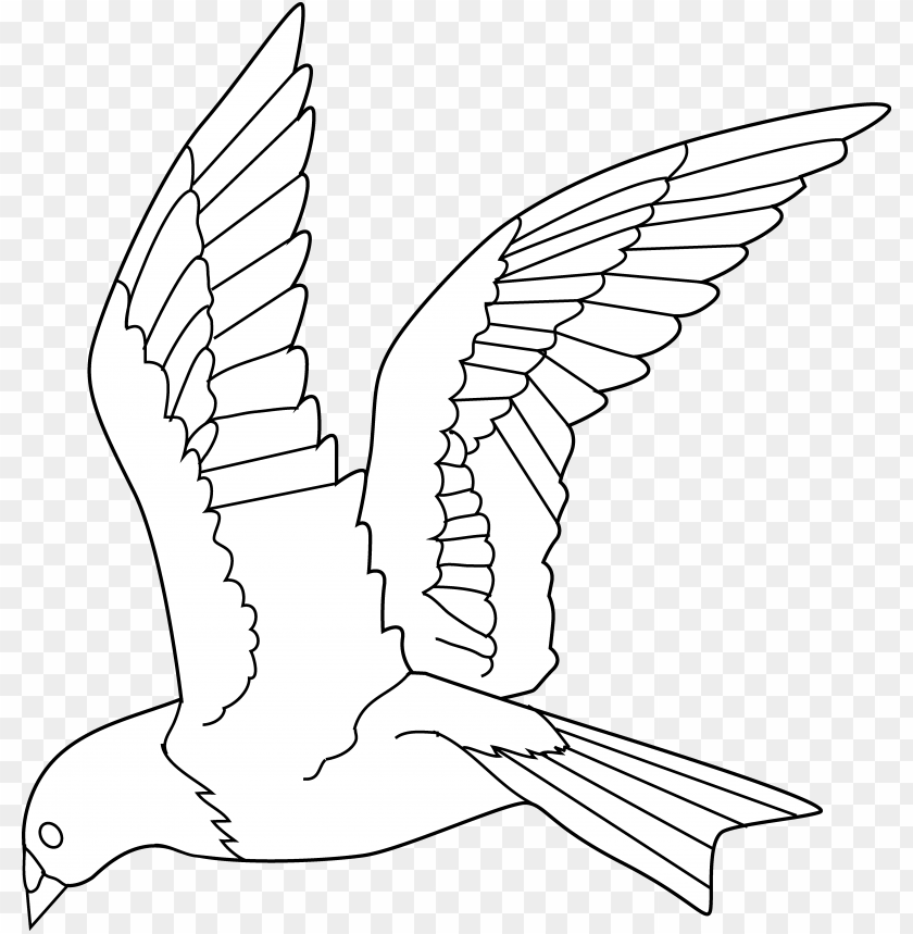 Flying Birds Clipart Gallery Bird Black And White Flying Parrot Line Drawi PNG Image With Transparent Background@toppng.com