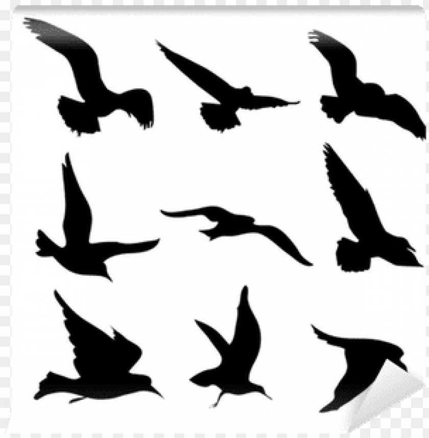 Flying Birds Silhouettes Illustration Wall Mural - Sagome Uccelli In ...