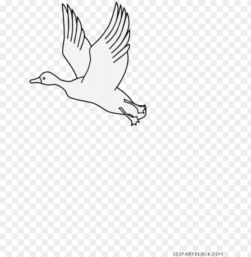 Flying Duck Animal Free Black White Clipart Images Seabird Png Image With Transparent Background Toppng