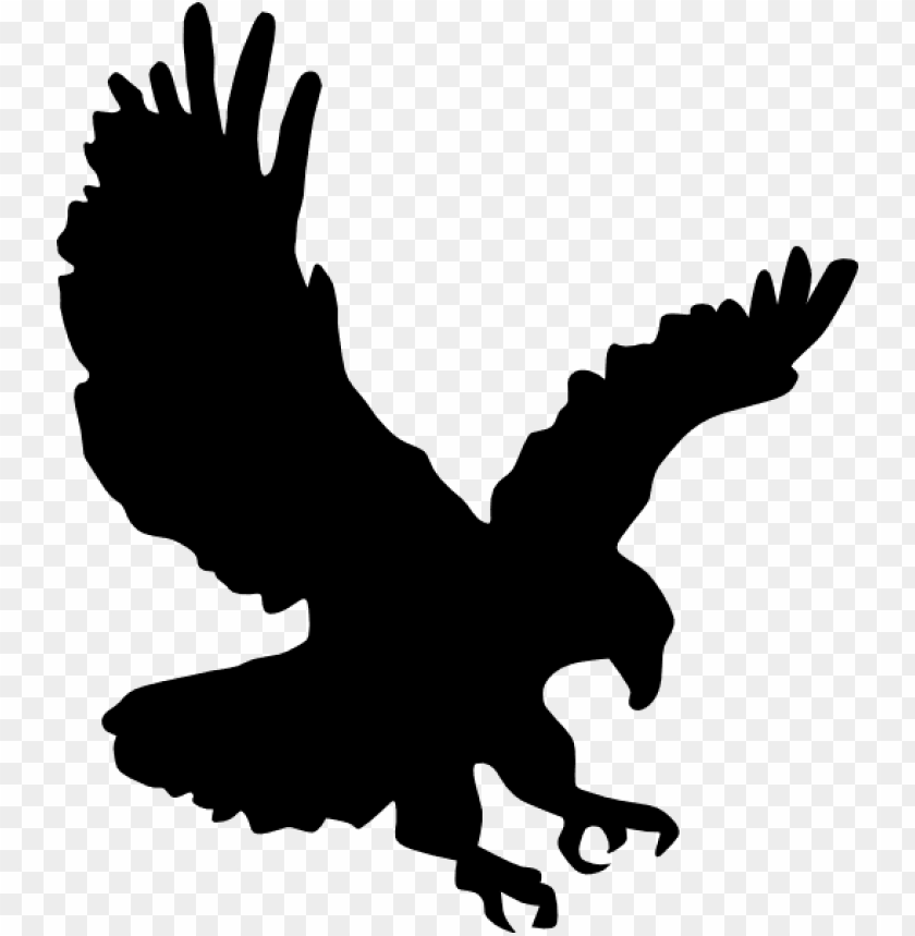 Flying Eagle Png Image Eagle Sv PNG Image With Transparent Background