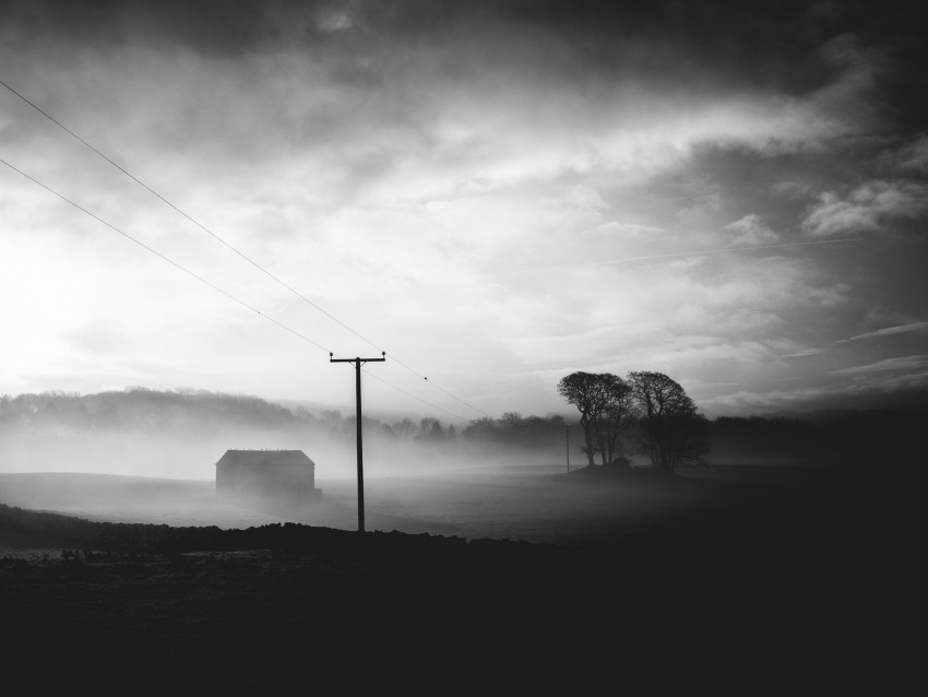 fog, dusk, landscape, bw, gloomy