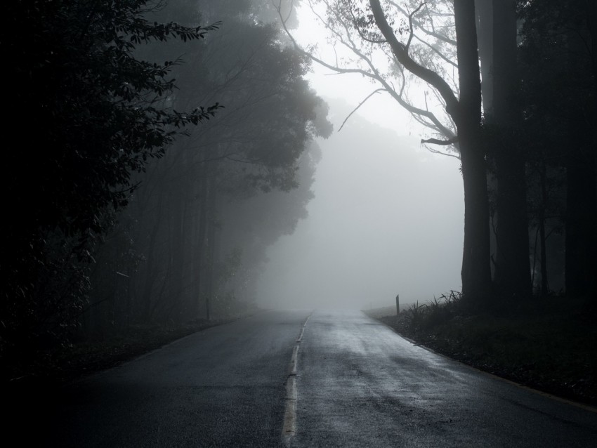 fog, road, trees, asphalt, emptiness
