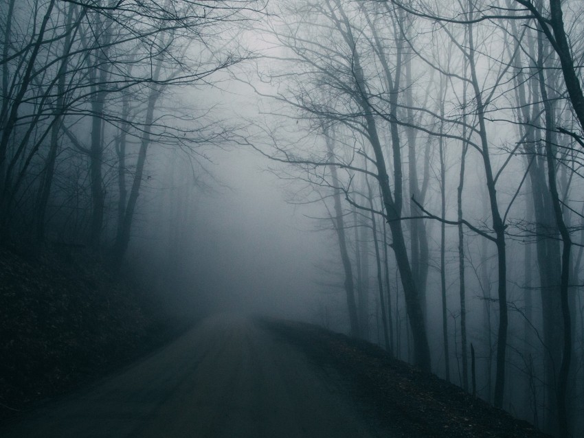 fog, road, trees, gloomy, dark