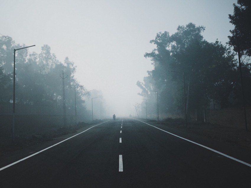 fog, road, trees, markup, horizon