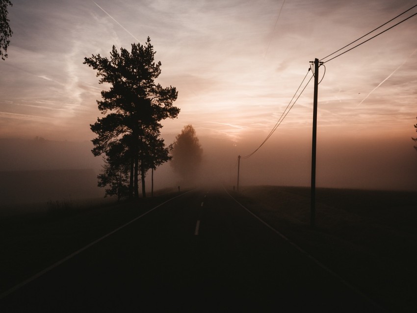 fog, road, trees, twilight, sky