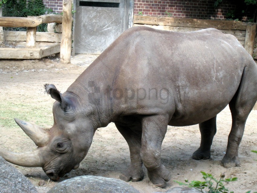 food grass reserve rhino rocks sand wallpaper background best stock photos - Image ID 160512