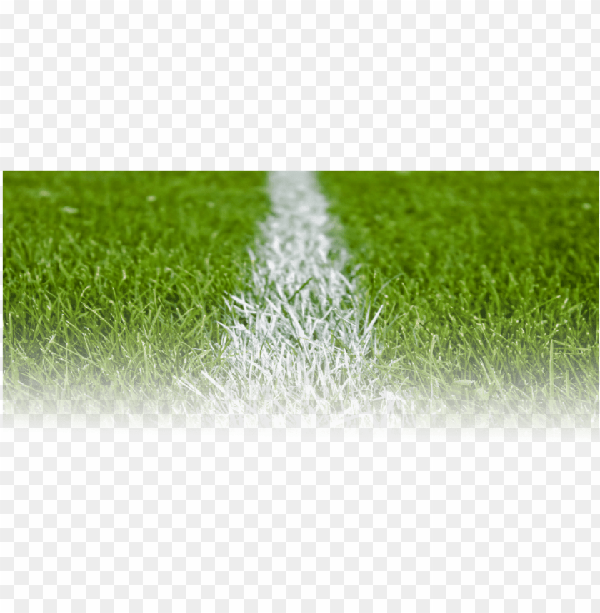 football pitch grass PNG image with transparent background@toppng.com